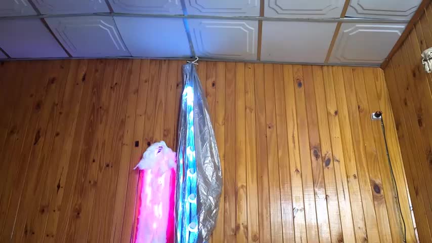 Jony_Marta Live Sex December 14, 2025
