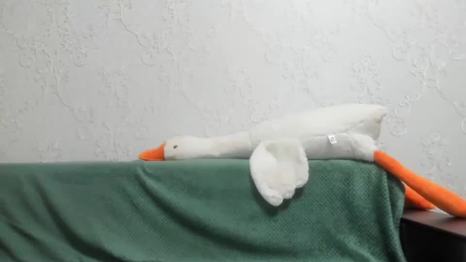 jessicagoold Live Sex August 14, 2025