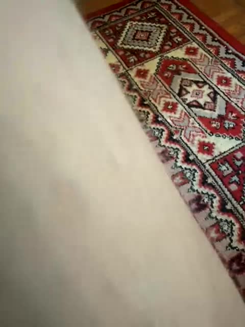 Loftpon69 Live Sex August 9, 2025