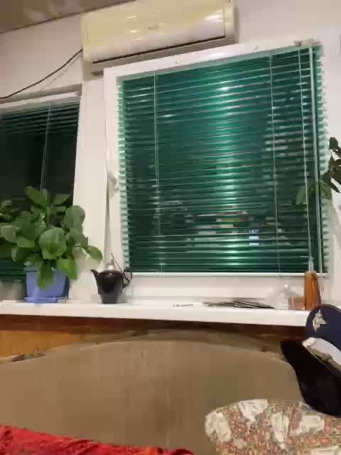 Letti28 Live Sex December 14, 2025