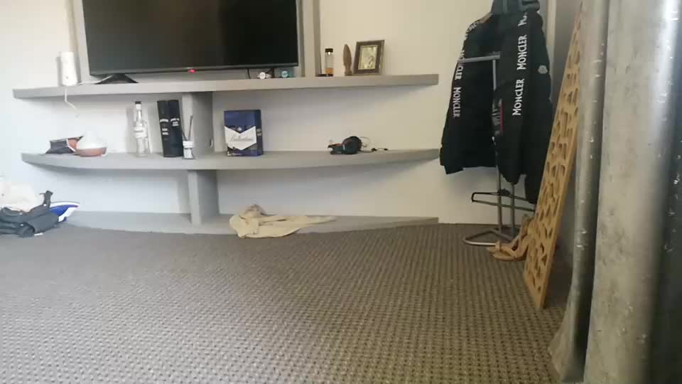 crazybrenda89 Live Sex December 14, 2025