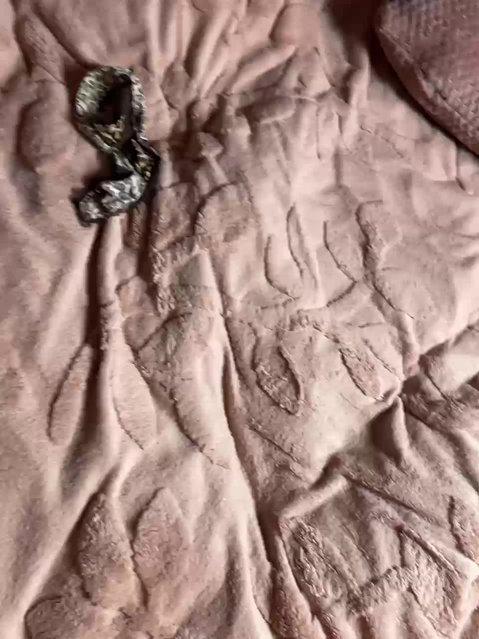 SEXPantera Live Sex December 15, 2025