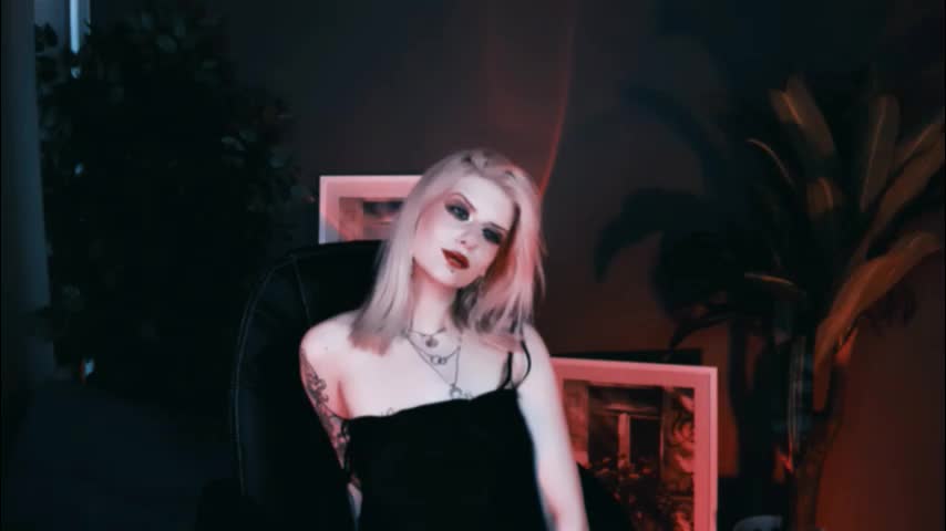 noah_elmer Live Sex December 15, 2025