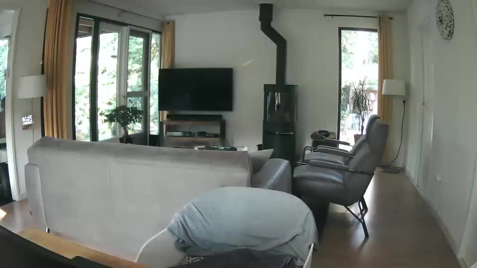 woodwurm Live Sex December 15, 2025