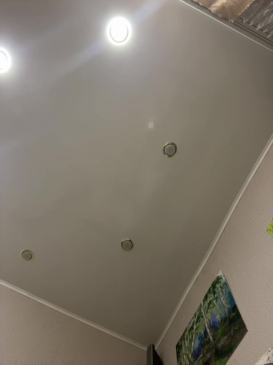 pizzahott Live Sex December 13, 2025