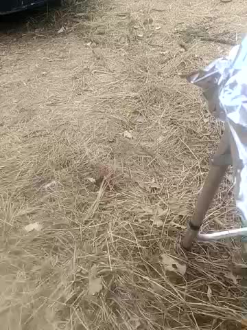 Artem29aAlisa29 Live Sex December 13, 2025