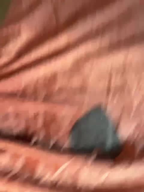 Essss33331 Live Sex 2025.08.10