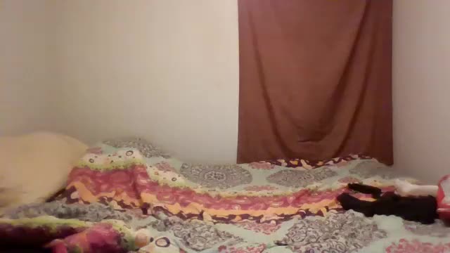 hybrid_lover419 Live Sex August 6, 2025