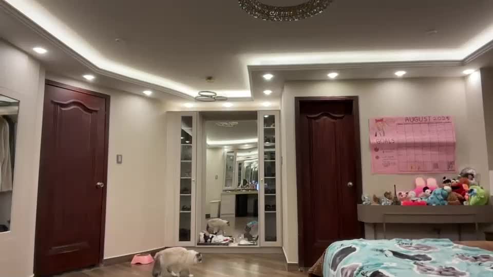 therealcamilabaddie Live Sex December 14, 2025