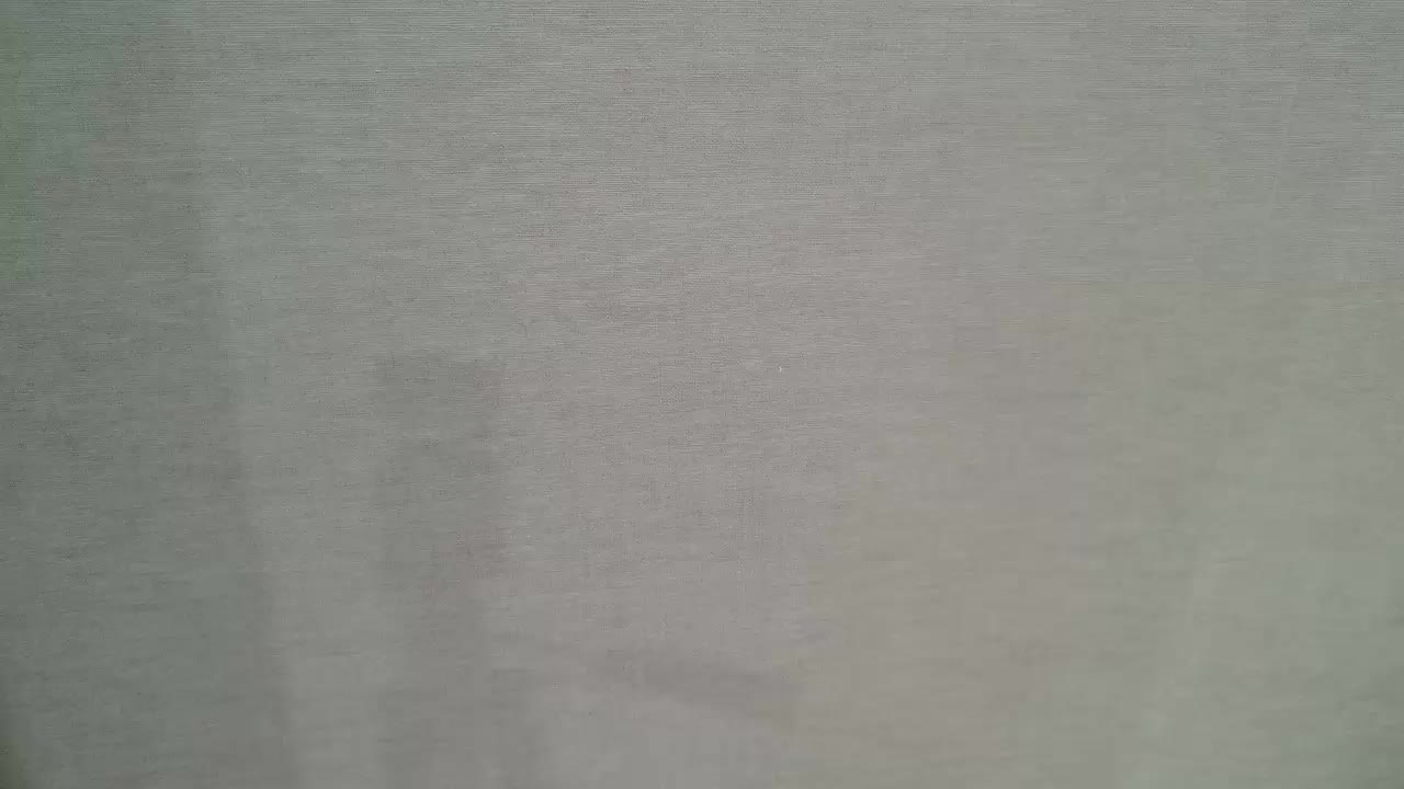 Visbee Live Sex December 15, 2025