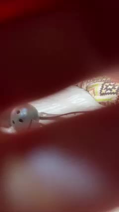 Go_k_nam Live Sex December 13, 2025