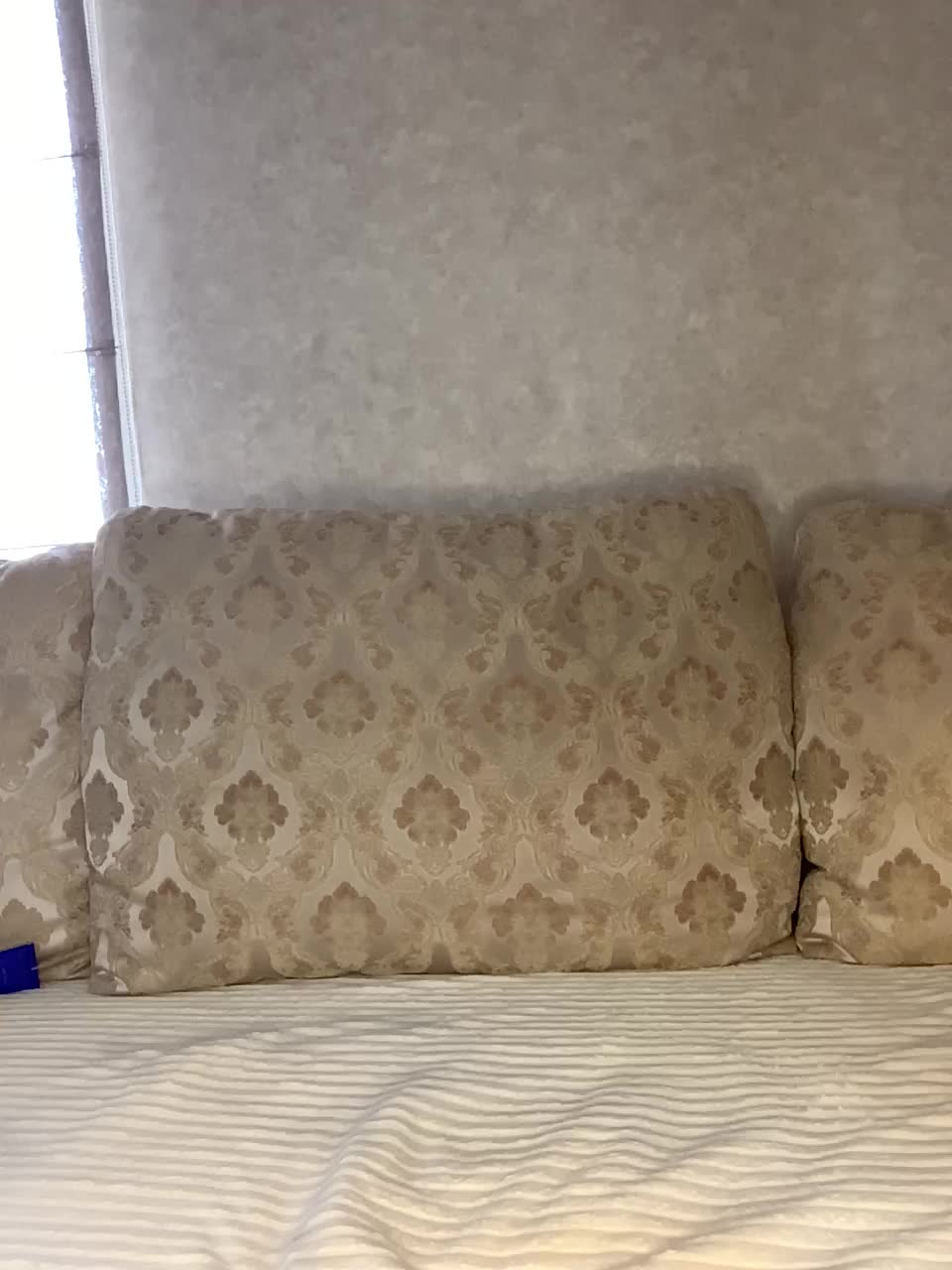 -ALLSAINT- Live Sex December 13, 2025