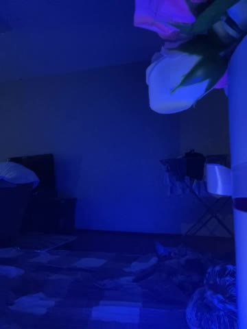 CatWoman007 Live Sex December 13, 2025