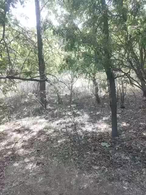 Alisa-Mi Live Sex December 13, 2025