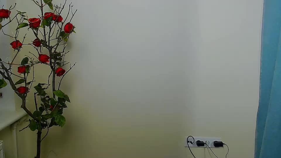 bunnybloom_ Live Sex December 13, 2025