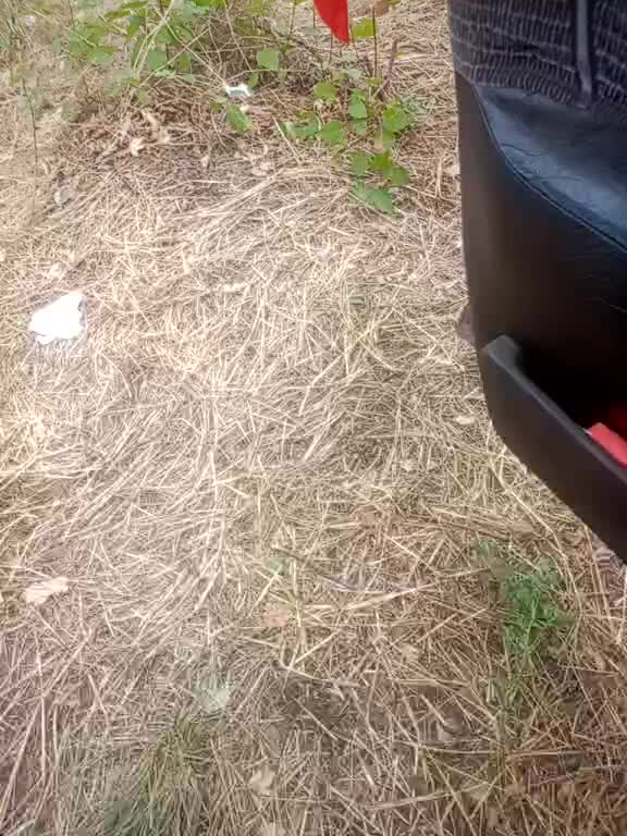 Artem29aAlisa29 Live Sex December 13, 2025