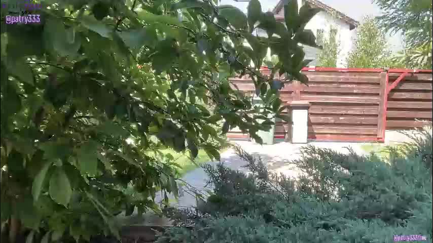 patry333 Live Sex December 13, 2025