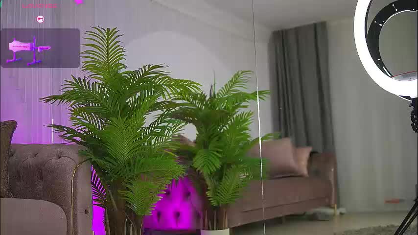 abbela_white Live Sex December 14, 2025