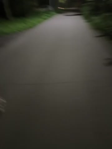 Oksiandfray Live Sex December 15, 2025