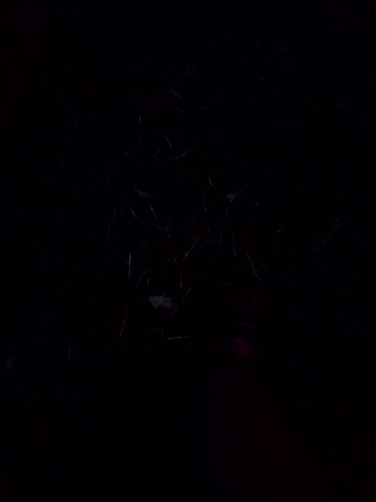 Artem29aAlisa29 Live Sex December 13, 2025