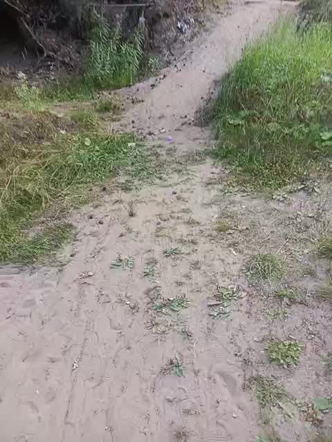 Zhozhoba69 Live Sex December 13, 2025