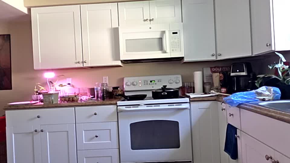 evanschris2048 Live Sex December 17, 2025