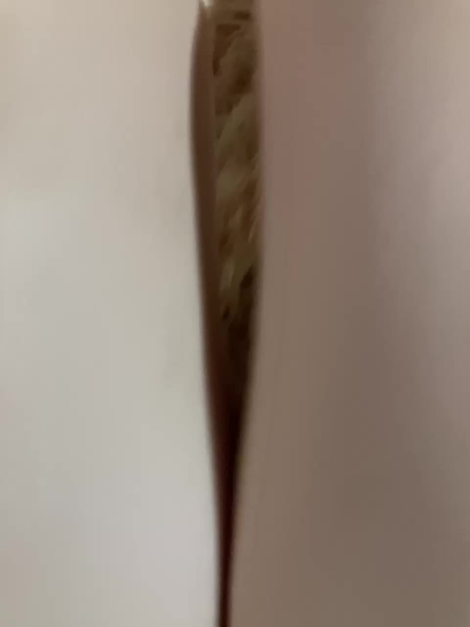 Vikiwww Live Sex December 13, 2025