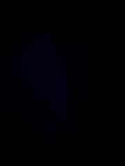 YuGoVi Live Sex December 13, 2025