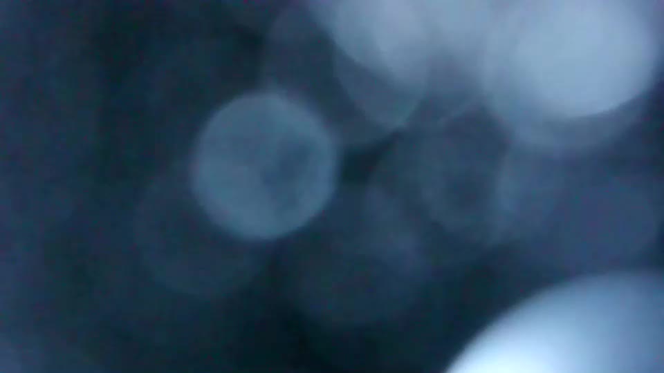 eveline_nancy Live Sex December 13, 2025