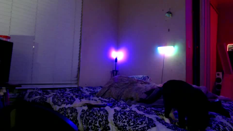 weluvwoman84 Live Sex December 13, 2025