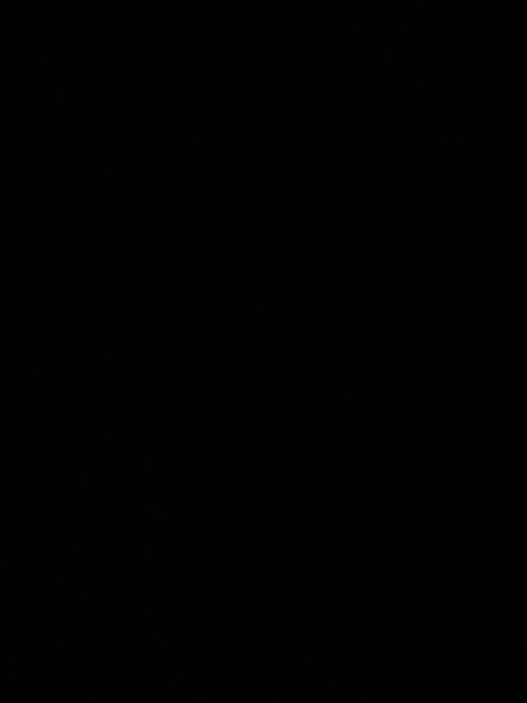 Fuffocka Live Sex December 17, 2025