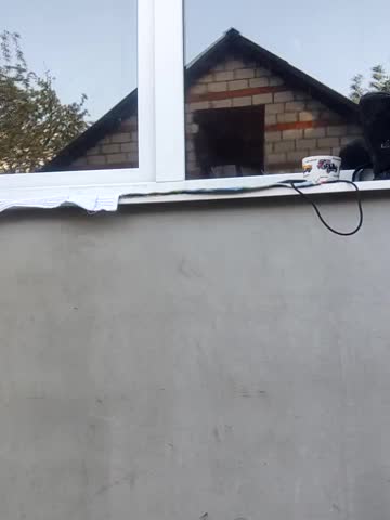 Niht_Angels Live Sex December 13, 2025