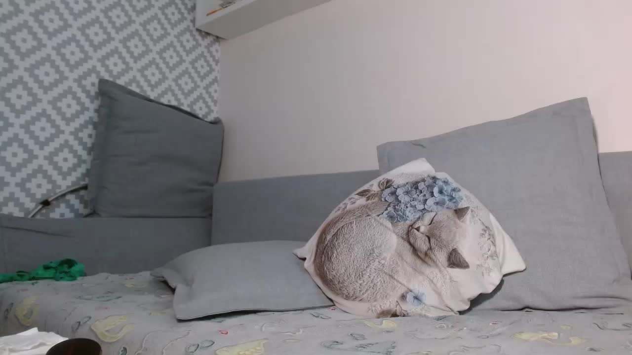 albinochka888 Live Sex December 14, 2025