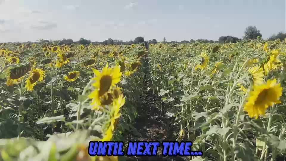 sunflower0907 Live Sex December 14, 2025