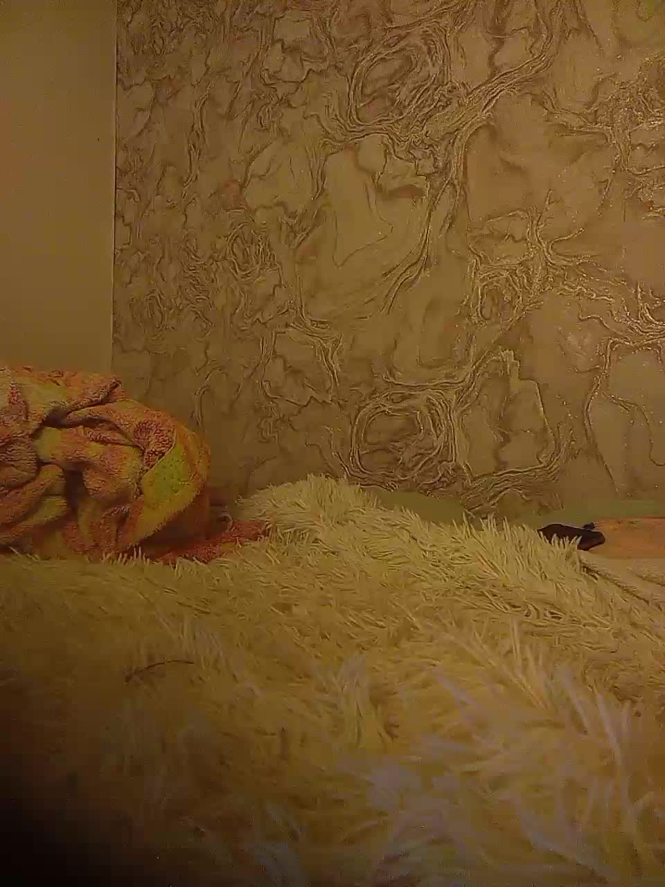 Ekaterina2221 Live Sex December 14, 2025