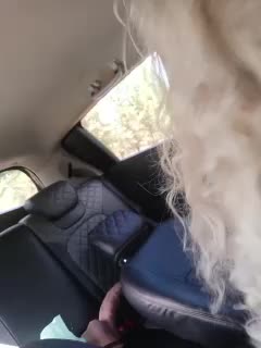 _AMBASSADOR_ Live Sex December 14, 2025