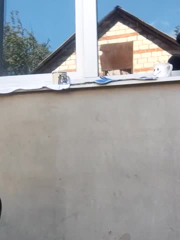 Niht_Angels Live Sex December 13, 2025