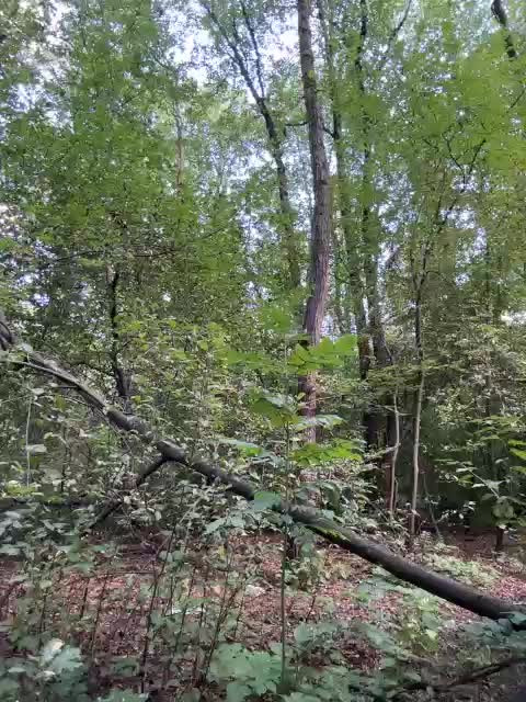 BabyDarii Live Sex December 17, 2025