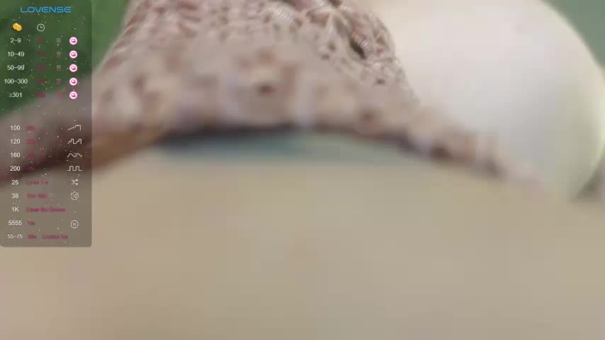 kortny_yo Live Sex December 20, 2025