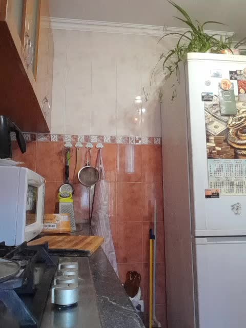 N-I-M-F-O-M-A-N-K-A Live Sex December 17, 2025