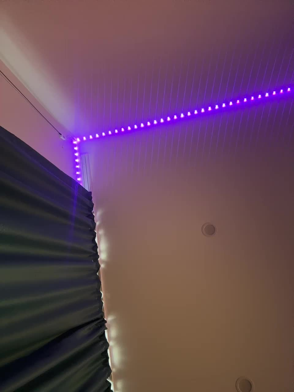 VULGARITY Live Sex December 13, 2025