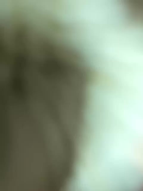 Ketadeksa Live Sex December 17, 2025