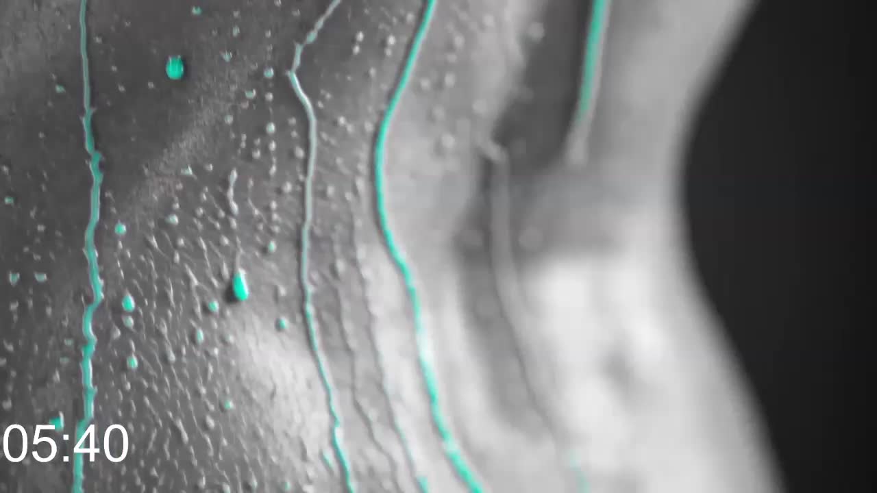 Angelina_1 Live Sex December 14, 2025