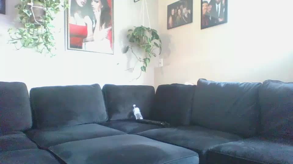 evanschris2048 Live Sex December 17, 2025