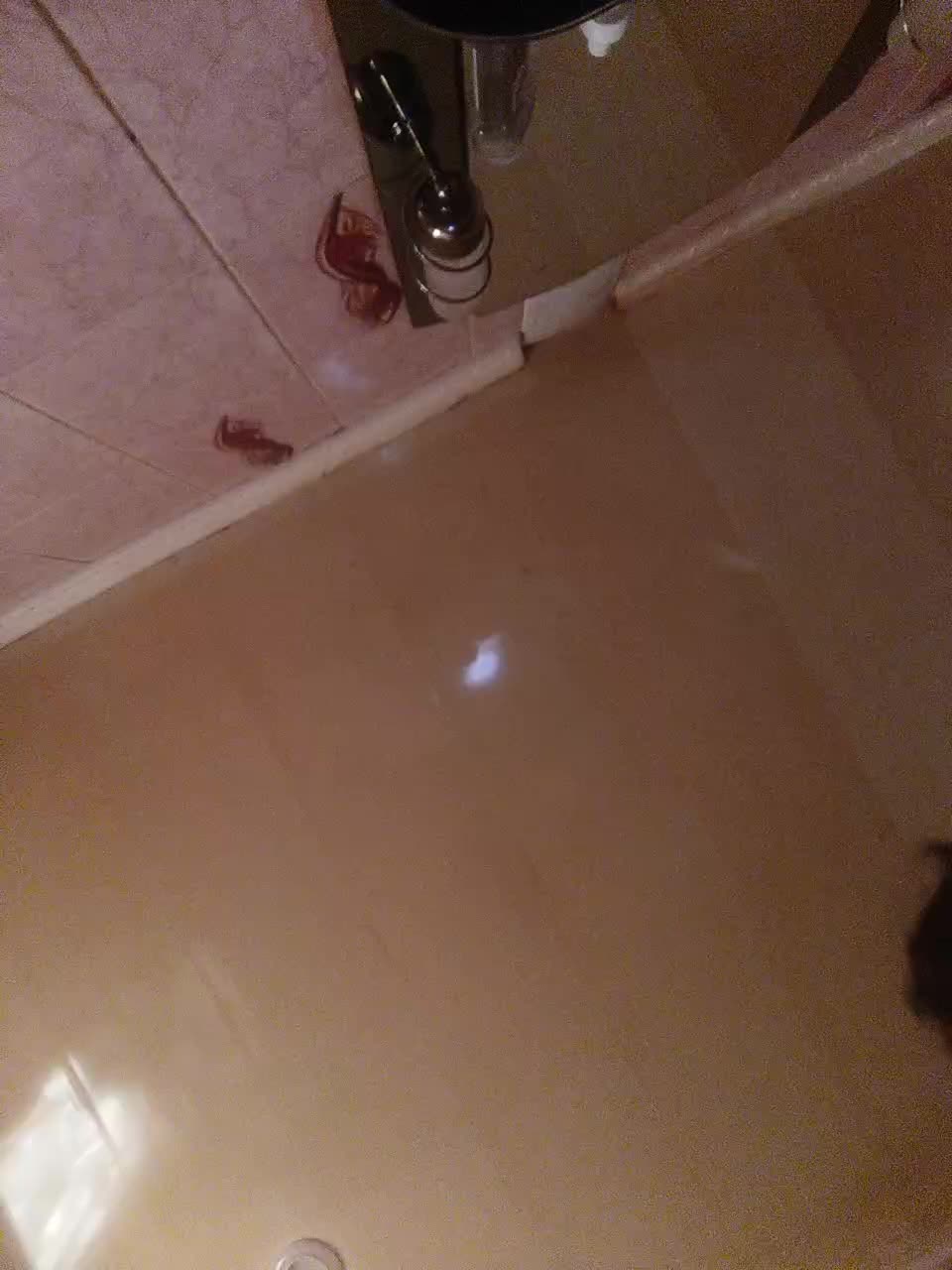 Maluska-Lapyla Live Sex December 15, 2025