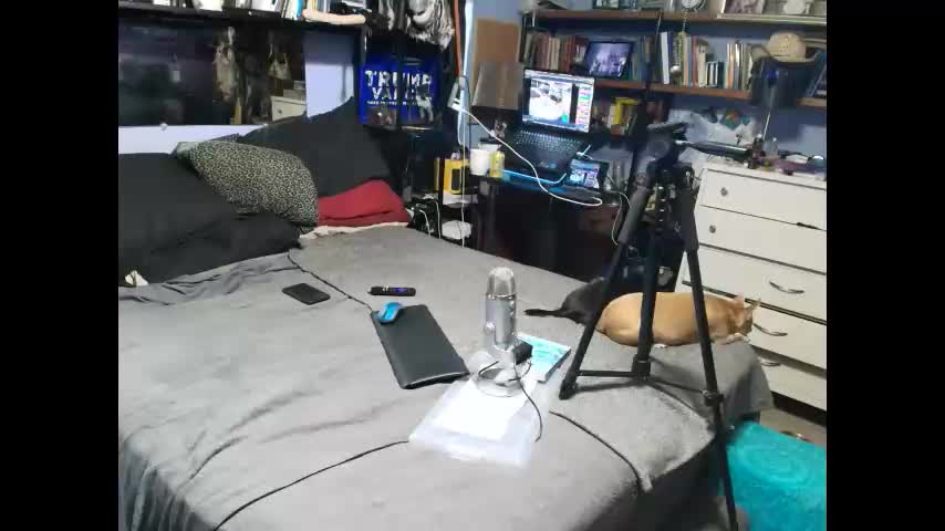 pink_black Live Sex December 17, 2025