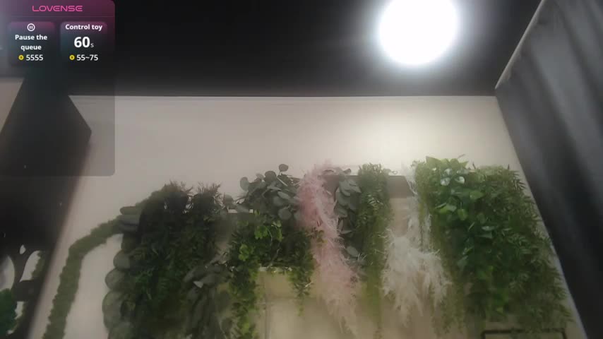 scyrim2 Live Sex December 19, 2025