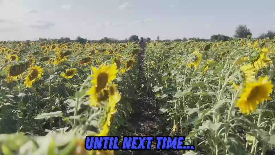 sunflower0907 Live Sex December 14, 2025