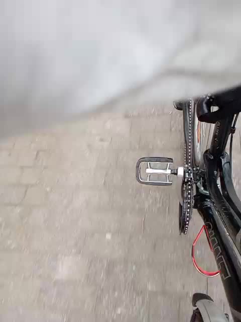 GolayaPravda Live Sex December 14, 2025