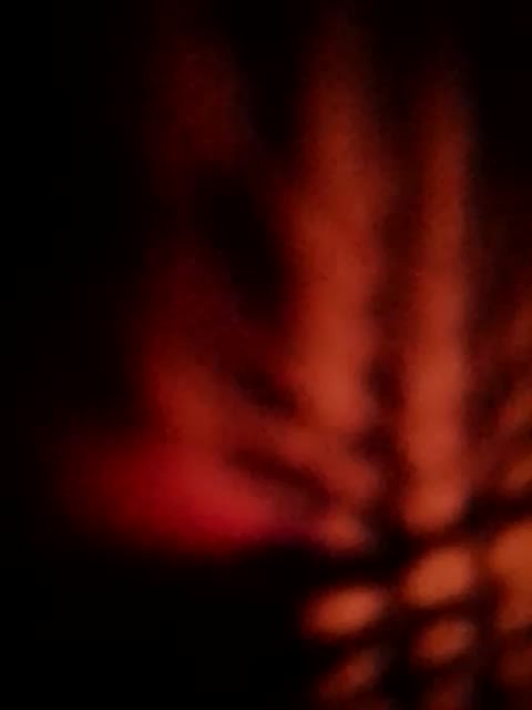 Fuffocka Live Sex December 15, 2025